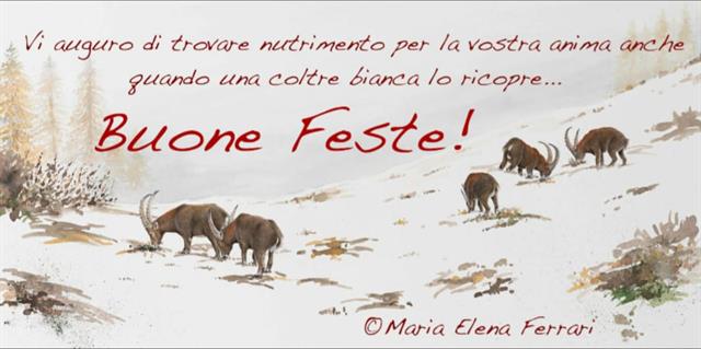 MARIA ELENA FERRARI DISEGNO FESTE 2022