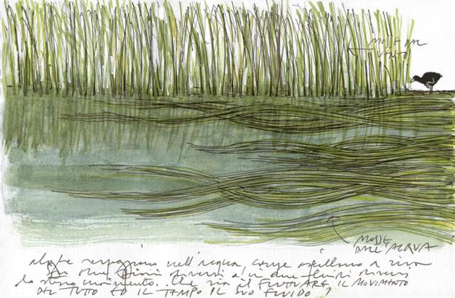 ATLANTE ACQUA - QUINTA SERIE - Lorenzo Marcolin