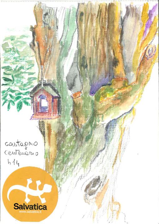 Domenica 27 giugno - Castagno Secolare - Cristina Cortese