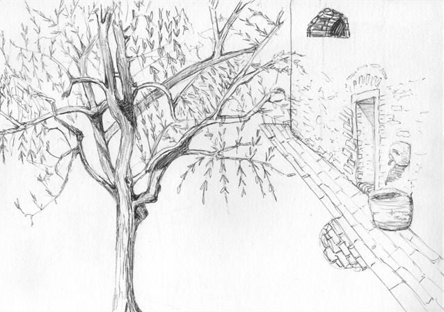 Domenica 23 maggio - Diana Zacchello