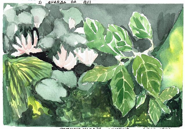 Domenica 27 giugno - Fabrizia Carraro