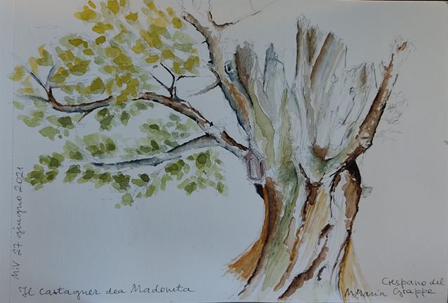 Domenica 27 giugno - Castagner dea Madoneta - Marina Marin