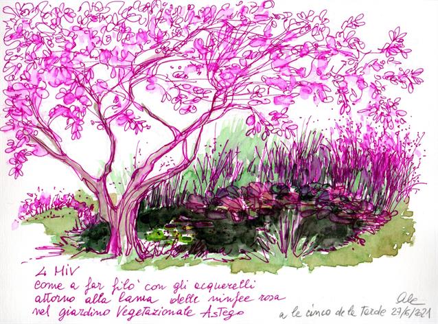 Domenica 27 giugno - Lama delle Ninfee - Giardino Vegetazionale - Alessandra Cappelletto